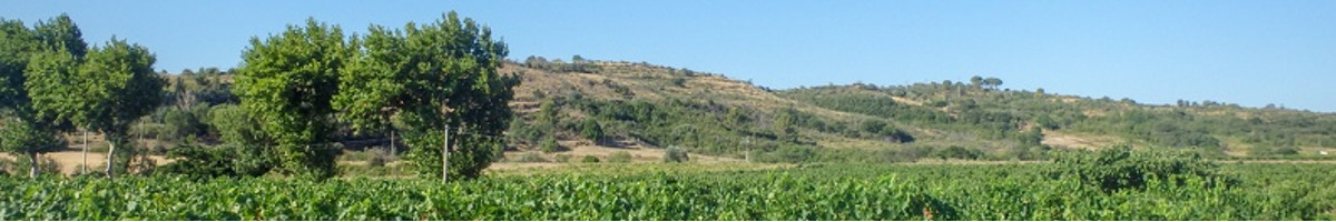 slideshow 3